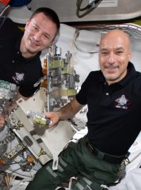 Astronauti amerického Národního úřadu pro letectví a vesmír Andrew Morgan a Evropské kosmické agentury Luca Parmitano