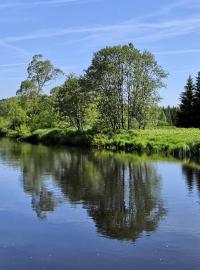 Teplá Vltava protéká první zónou Národního parku Šumava.