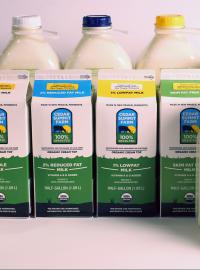 Mléčné výrobky z farmy Cedar ve městě NewPrague v Minnesotě v USA. (Ilustrační foto.)