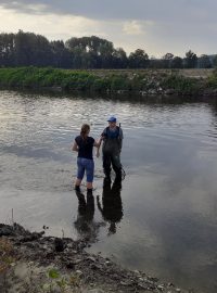 Několik desítek tun ryb uhynulých v řece Bečvě otrávily kyanidy