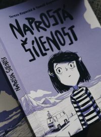 Obálka komiksového románu Naprostá šílenost