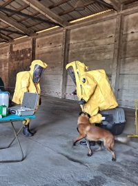 Tento týden veterinární inspektoři cvičili na hospodářství v Heroltovicích u Libavé spolupráci při výskytu nákazy u zvířat.
