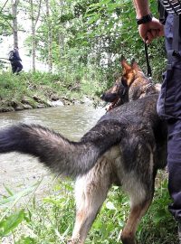 Policisté a kynologové prohledávají po povodních břehy