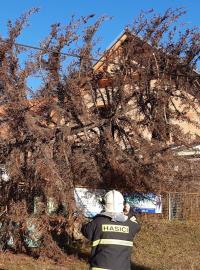 Hasiči Jihomoravského kraje v úterý ráno zasahovali na Znojemsku u spadlého stromu.