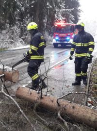 Hasiči v Libereckém kraji odstraňují popadané stromy