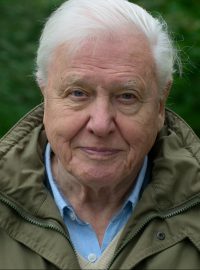 David Attenborough v dokumentárním snímku Život na naší planetě