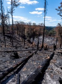 Požárem zpustošená krajina Českého Švýcarska dne 7. srpna