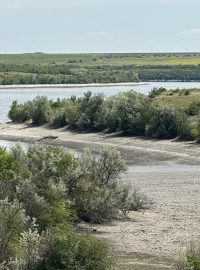 Žije – nebo spíš žil – tady sumec, karas, tolstolobik nebo cejn