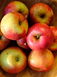 Odkud jablko pochází, se můžeme jenom dohadovat. Faktem je, že lidstvo doprovází, osvěžuje, dodává vitamíny a dobrou náladu už tisíce let.