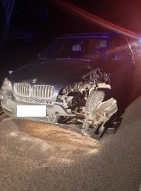 Policisté na jihu Čech řešili střet BMW s pštrosem