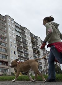 Určovací žaloba nájemníků není dle ČEZ právní vadou prodávaných bytů v pražské Písnici. Není tedy důvod, aby firma Kennial odstoupila od jejich koupi.