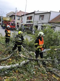 V brněnské ulici Hlavní v Komíně vichřice ulomila část stromu, který spadl přes silnici a strhl trolejbusovou trolej.