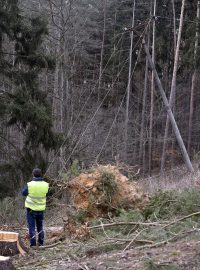 Státní podnik Lesy České republiky odhadl ztráty na zpeněžení dřeva zničeného orkánem Eberhard na přibližně půl miliardy korun.