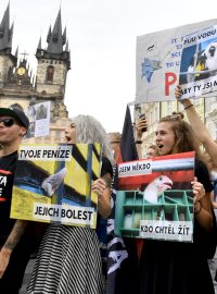 Nedostatečné a neefektivní jsou v Česku podle protestujících tresty za týrání zvířat, pachatele nelze postihnout.