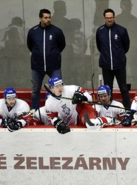 Pohled na střídačku českých juniorských hokejistů