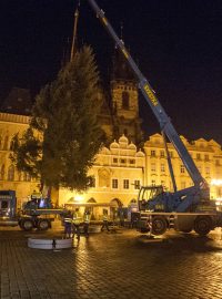Smrk stojí na Staroměstském náměstí od noci z neděle na pondělí a zůstane až do 9. ledna