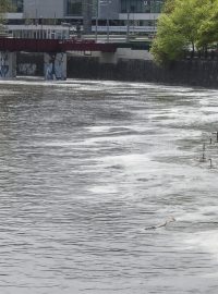 Rozvodněná řeka Radbuza v Plzni.