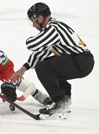 Momentka ze skupinového zápasu hokejového mistrovství světa mezi Švédskem a Českem