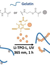 Chemicky upravená želatina (modrý proužek) se díky UV záření zesíťuje a je pak vidět na RTG vyšetření