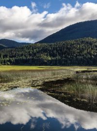 Slovinské Cerknické jezero (Cerkniško jezero, Lake Cerknica) patří k nejkrásnějším v Evropě. Navíc má jednu velkou zvláštnost: v průběhu roku prosychá, takže se pravidelně rozlévá a pak zas mizí.