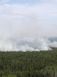 Situace na ruské Sibiři je katastrofická. Alespoň tak ji označují ruští ekologové nebo ruská pobočka organizace Greenpeace