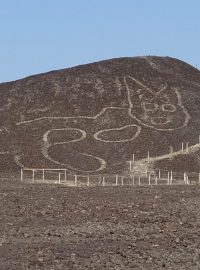 Archeologové na slavné jihoperuánské planině Nazca objevili nový obrazec. Obrazec kočky je starší než dva tisíce let
