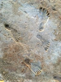 Otisky lidských nohou staré téměř 23 tisíc let