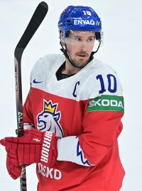 Kapitán hokejové reprezentace Roman Červenka