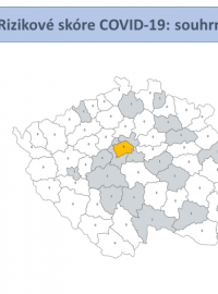 Mapa rizikového skóre v českých regionech k 19. červenci