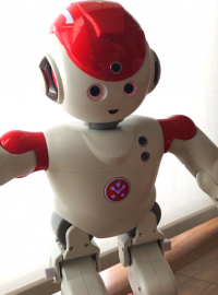Alpha 2 je humanoidní robot podobný člověku, až na to, že dospělým sahá asi po kolena