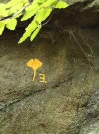 Symboly u lístků mohou naznačovat cestu k dalším, odkazovat na historický místní název nebo na jméno člověka, který byl u jejího vytvoření.