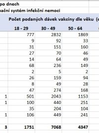 Statistiky očkování proti COVID-19 z 6. ledna 2021