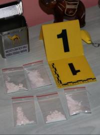 Policisté a celníci rozkryli na Moravě rozsáhlou síť distributorů kokainu
