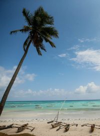 Zanzibar se v době probíhající pandemie stal jednou z nejoblíbenější destinací turistů z Česka, kvůli obavám z šíření „jihoafrické mutace“ ale skončil na seznamu zakázaných oblastí