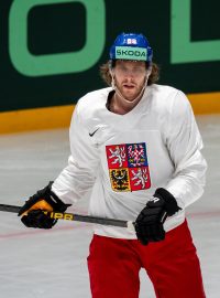 Český hokejový útočník David Pastrňák