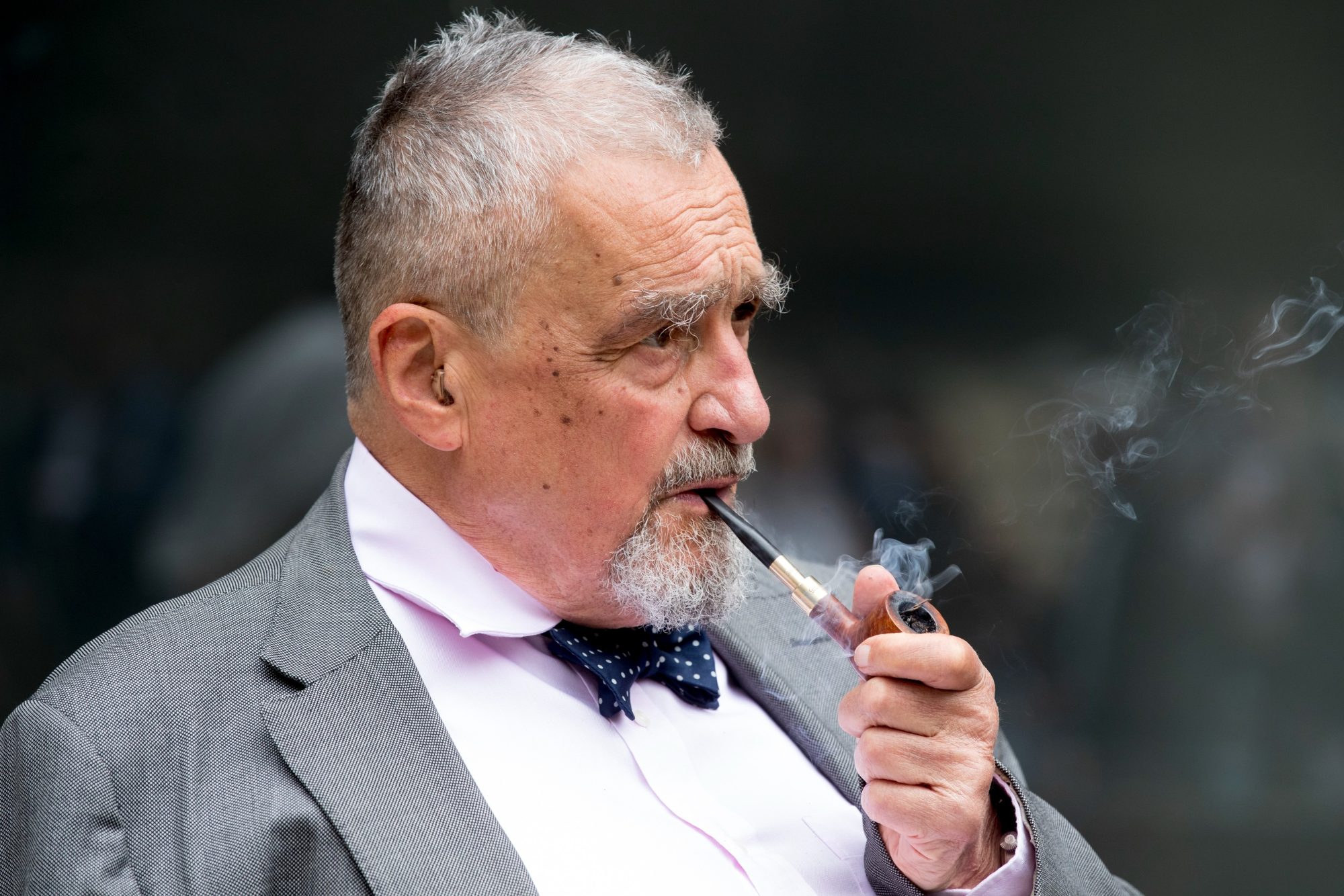 Karel Schwarzenberg | Foto: Michal Růžička | Zdroj: MAFRA / Profimedia