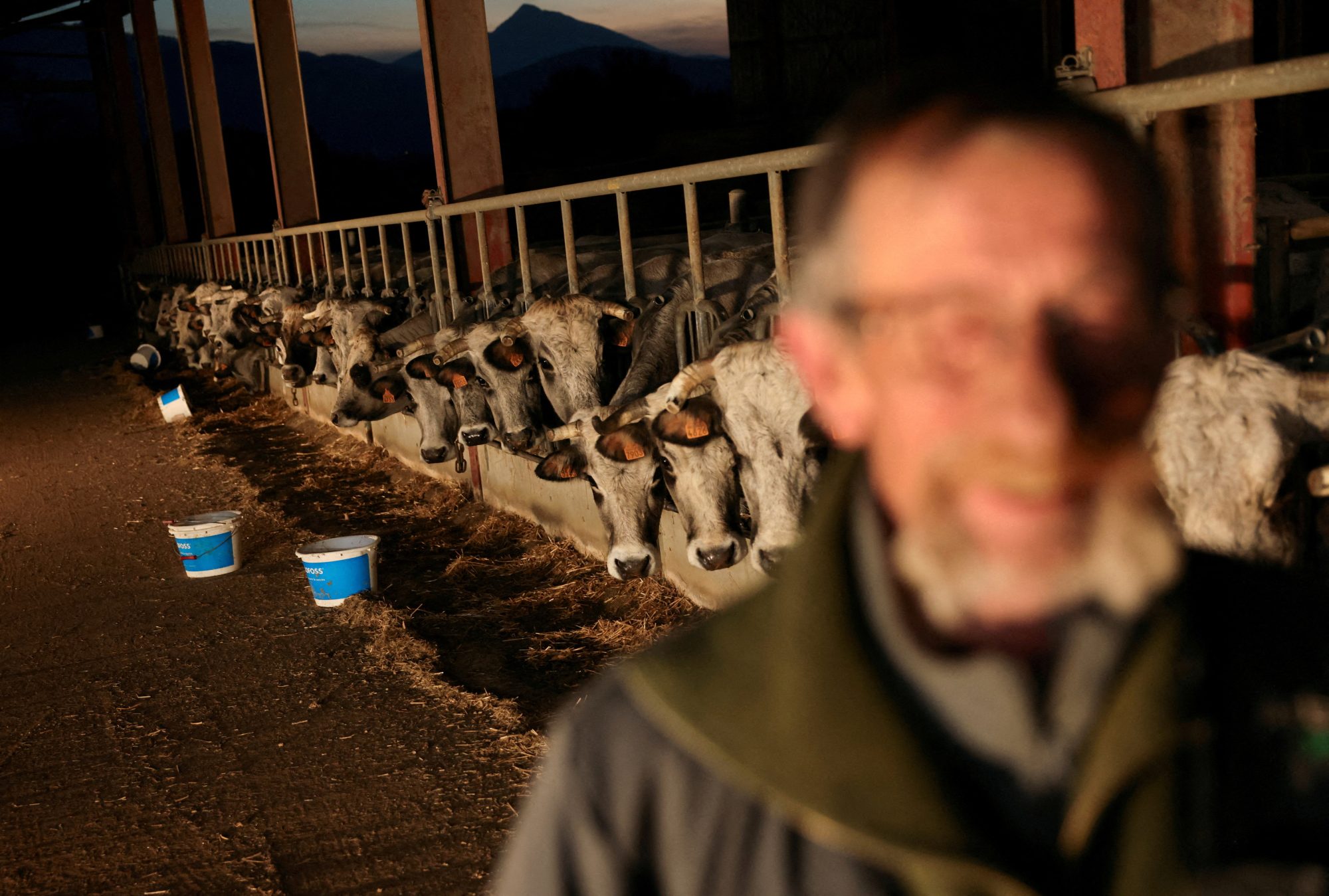 Farmáři neprotestují jenom kvůli pohonným hmotám, ale také za své včely nebo krávy | Foto: Nacho Doce | Zdroj: Reuters