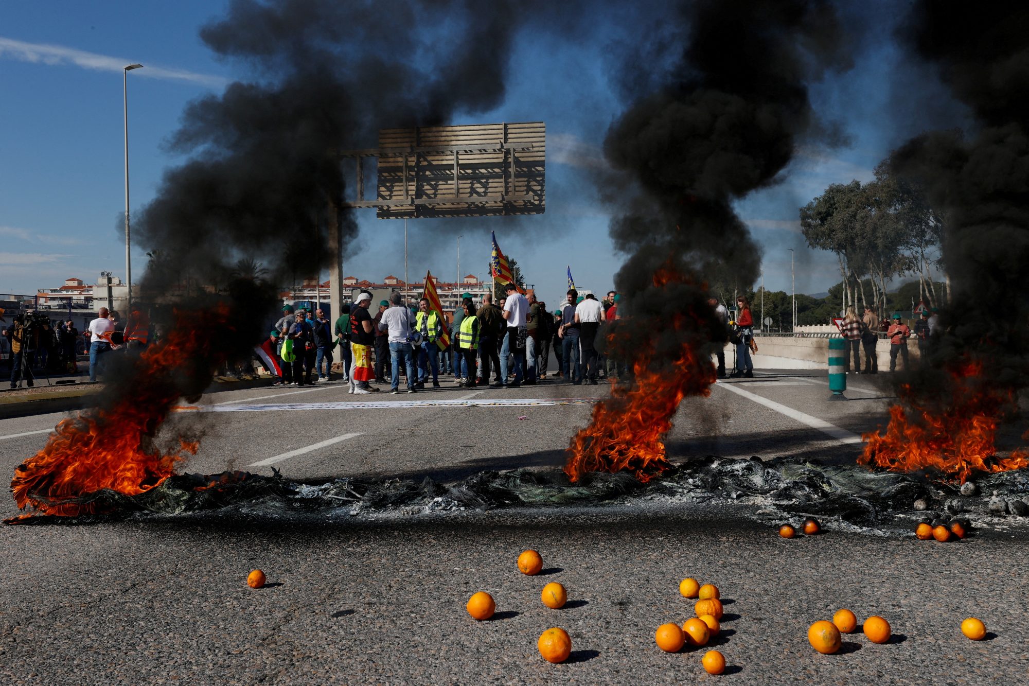 Ve Španělsku hořely i pomeranče | Foto: Eva Manez | Zdroj: Reuters