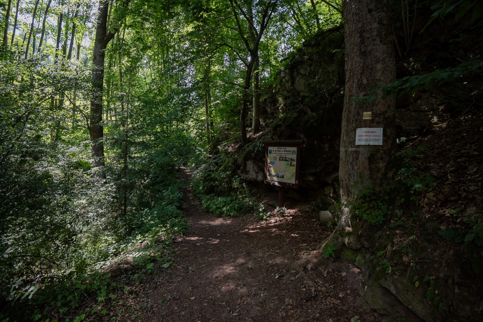 Vstup do lesa u parkoviště pod hradem Český Šternberk | Foto: Zuzana Jarolímková | Zdroj: iROZHLAS.cz